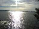 ./images/koeye/fitz-hugh/20200907/fitz-hugh20200907_171002.jpg