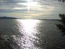 ./images/koeye/fitz-hugh/20200907/fitz-hugh20200907_171502.jpg