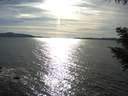 ./images/koeye/fitz-hugh/20200907/fitz-hugh20200907_172002.jpg