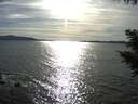 ./images/koeye/fitz-hugh/20200907/fitz-hugh20200907_172502.jpg