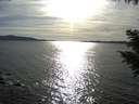 ./images/koeye/fitz-hugh/20200907/fitz-hugh20200907_173502.jpg
