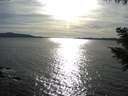 ./images/koeye/fitz-hugh/20200907/fitz-hugh20200907_174002.jpg