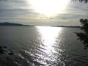 ./images/koeye/fitz-hugh/20200907/fitz-hugh20200907_174501.jpg