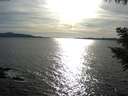 ./images/koeye/fitz-hugh/20200907/fitz-hugh20200907_175001.jpg