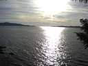 ./images/koeye/fitz-hugh/20200907/fitz-hugh20200907_175501.jpg