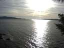 ./images/koeye/fitz-hugh/20200907/fitz-hugh20200907_180501.jpg