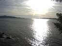 ./images/koeye/fitz-hugh/20200907/fitz-hugh20200907_181001.jpg
