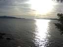 ./images/koeye/fitz-hugh/20200907/fitz-hugh20200907_181501.jpg