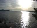 ./images/koeye/fitz-hugh/20200907/fitz-hugh20200907_182001.jpg