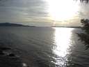 ./images/koeye/fitz-hugh/20200907/fitz-hugh20200907_182501.jpg