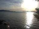 ./images/koeye/fitz-hugh/20200907/fitz-hugh20200907_184001.jpg