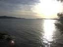 ./images/koeye/fitz-hugh/20200907/fitz-hugh20200907_184501.jpg