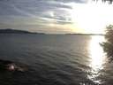 ./images/koeye/fitz-hugh/20200907/fitz-hugh20200907_191001.jpg