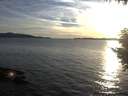 ./images/koeye/fitz-hugh/20200907/fitz-hugh20200907_191501.jpg