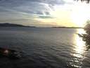 ./images/koeye/fitz-hugh/20200907/fitz-hugh20200907_192001.jpg