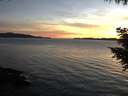 ./images/koeye/fitz-hugh/20200907/fitz-hugh20200907_200502.jpg