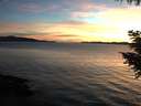 ./images/koeye/fitz-hugh/20200907/fitz-hugh20200907_202002.jpg
