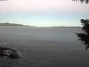 ./images/koeye/fitz-hugh/20200908/fitz-hugh20200908_063501.jpg