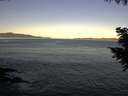 ./images/koeye/fitz-hugh/20200908/fitz-hugh20200908_074002.jpg