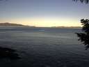 ./images/koeye/fitz-hugh/20200908/fitz-hugh20200908_074502.jpg