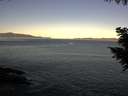 ./images/koeye/fitz-hugh/20200908/fitz-hugh20200908_075002.jpg