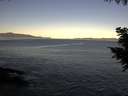 ./images/koeye/fitz-hugh/20200908/fitz-hugh20200908_075502.jpg