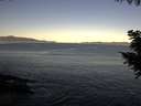 ./images/koeye/fitz-hugh/20200908/fitz-hugh20200908_080002.jpg