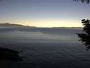 ./images/koeye/fitz-hugh/20200908/fitz-hugh20200908_081002.jpg