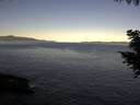 ./images/koeye/fitz-hugh/20200908/fitz-hugh20200908_081502.jpg