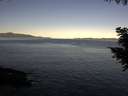 ./images/koeye/fitz-hugh/20200908/fitz-hugh20200908_082001.jpg