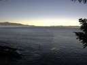 ./images/koeye/fitz-hugh/20200908/fitz-hugh20200908_083501.jpg