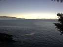 ./images/koeye/fitz-hugh/20200908/fitz-hugh20200908_084001.jpg