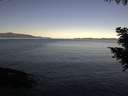 ./images/koeye/fitz-hugh/20200908/fitz-hugh20200908_085501.jpg