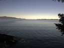 ./images/koeye/fitz-hugh/20200908/fitz-hugh20200908_091001.jpg