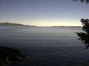 ./images/koeye/fitz-hugh/20200908/fitz-hugh20200908_091501.jpg