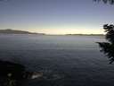 ./images/koeye/fitz-hugh/20200908/fitz-hugh20200908_092001.jpg