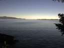 ./images/koeye/fitz-hugh/20200908/fitz-hugh20200908_092501.jpg