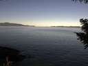./images/koeye/fitz-hugh/20200908/fitz-hugh20200908_094001.jpg