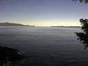 ./images/koeye/fitz-hugh/20200908/fitz-hugh20200908_094501.jpg