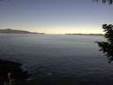 ./images/koeye/fitz-hugh/20200908/fitz-hugh20200908_095001.jpg
