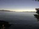 ./images/koeye/fitz-hugh/20200908/fitz-hugh20200908_100501.jpg