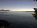 ./images/koeye/fitz-hugh/20200908/fitz-hugh20200908_101501.jpg