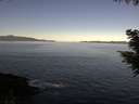 ./images/koeye/fitz-hugh/20200908/fitz-hugh20200908_102002.jpg