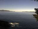 ./images/koeye/fitz-hugh/20200908/fitz-hugh20200908_103502.jpg