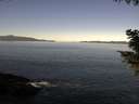 ./images/koeye/fitz-hugh/20200908/fitz-hugh20200908_104002.jpg