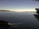 ./images/koeye/fitz-hugh/20200908/fitz-hugh20200908_104502.jpg