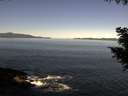 ./images/koeye/fitz-hugh/20200908/fitz-hugh20200908_105002.jpg