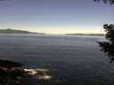 ./images/koeye/fitz-hugh/20200908/fitz-hugh20200908_111502.jpg