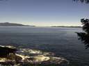 ./images/koeye/fitz-hugh/20200908/fitz-hugh20200908_114001.jpg