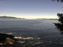 ./images/koeye/fitz-hugh/20200908/fitz-hugh20200908_114501.jpg